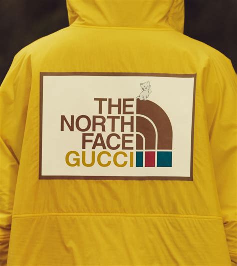 borthface x gucci|gucci north face price.